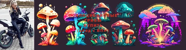 мяу мяу мука Армянск
