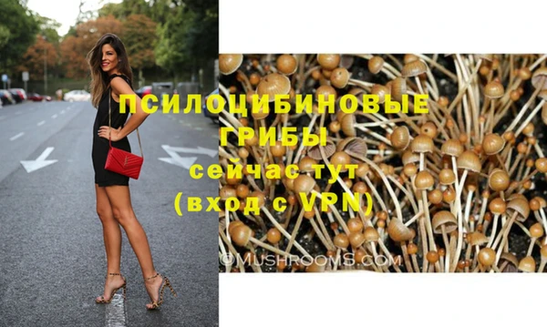 мяу мяу мука Армянск