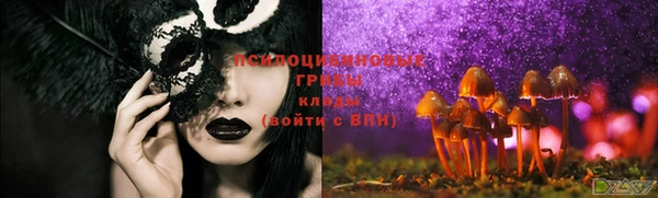 мяу мяу мука Армянск