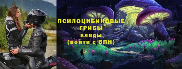 мяу мяу мука Армянск
