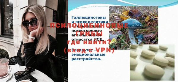молекула духа Кулебаки