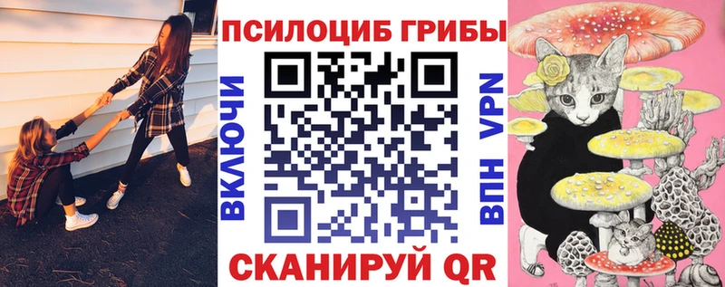 Галлюциногенные грибы Magic Shrooms  Чудово 